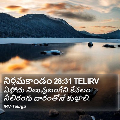 నిర్గమకాండం 28:31 TELIRV Bible Verse Image
