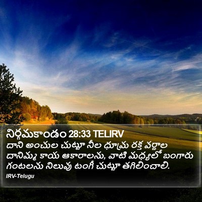 నిర్గమకాండం 28:33 TELIRV Bible Verse Image