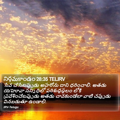 నిర్గమకాండం 28:35 TELIRV Bible Verse Image