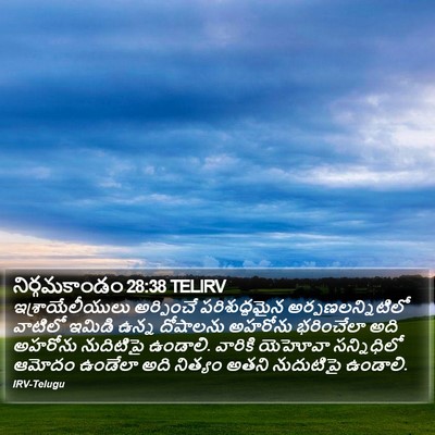 నిర్గమకాండం 28:38 TELIRV Bible Verse Image