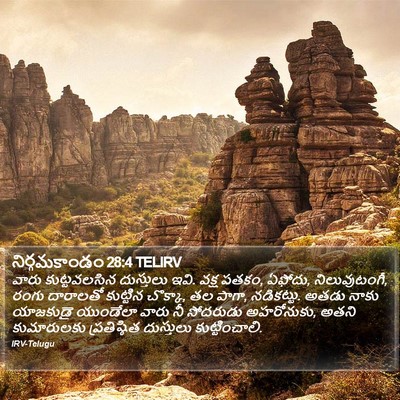 నిర్గమకాండం 28:4 TELIRV Bible Verse Image