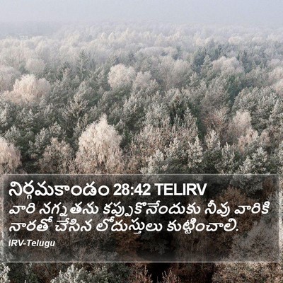 నిర్గమకాండం 28:42 TELIRV Bible Verse Image