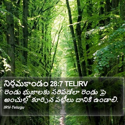 నిర్గమకాండం 28:7 TELIRV Bible Verse Image