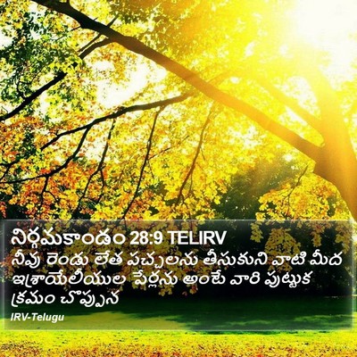 నిర్గమకాండం 28:9 TELIRV Bible Verse Image