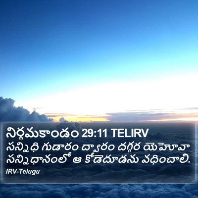 నిర్గమకాండం 29:11 TELIRV Bible Verse Image