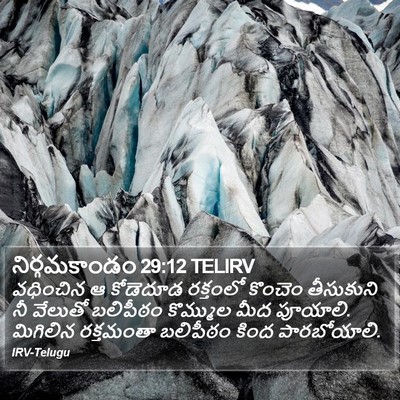 నిర్గమకాండం 29:12 TELIRV Bible Verse Image