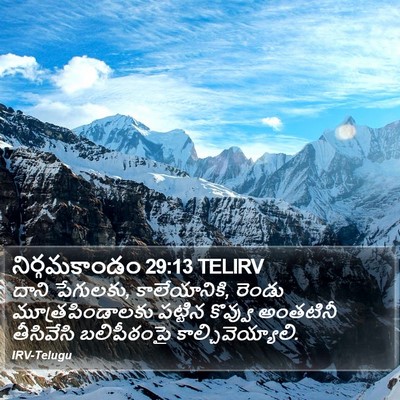 నిర్గమకాండం 29:13 TELIRV Bible Verse Image