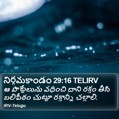 నిర్గమకాండం 29:16 TELIRV Bible Verse Image