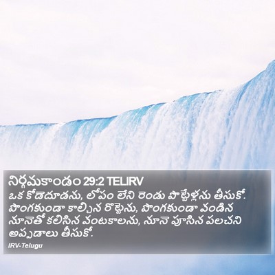 నిర్గమకాండం 29:2 TELIRV Bible Verse Image