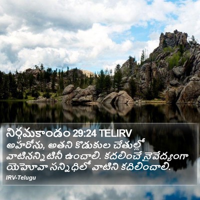 నిర్గమకాండం 29:24 TELIRV Bible Verse Image