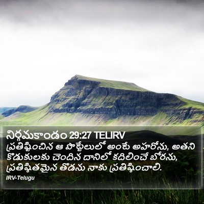 నిర్గమకాండం 29:27 TELIRV Bible Verse Image