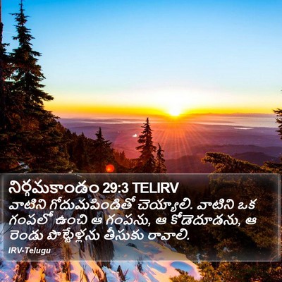నిర్గమకాండం 29:3 TELIRV Bible Verse Image