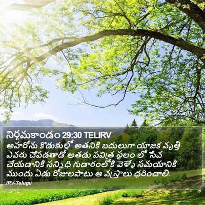 నిర్గమకాండం 29:30 TELIRV Bible Verse Image