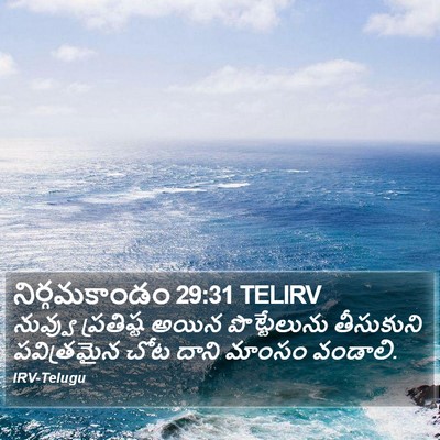 నిర్గమకాండం 29:31 TELIRV Bible Verse Image