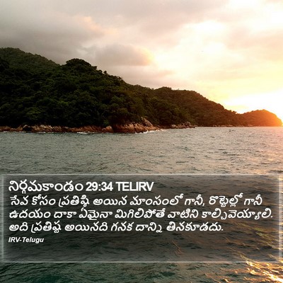 నిర్గమకాండం 29:34 TELIRV Bible Verse Image