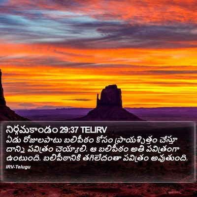 నిర్గమకాండం 29:37 TELIRV Bible Verse Image