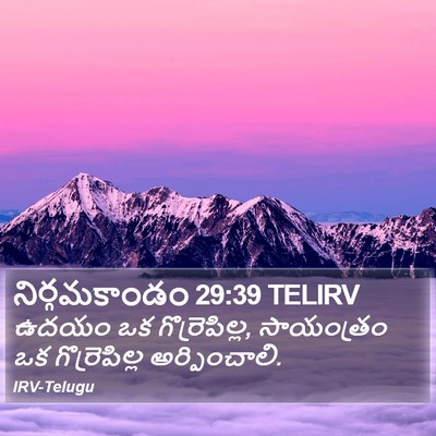 నిర్గమకాండం 29:39 TELIRV Bible Verse Image