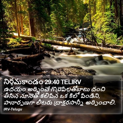 నిర్గమకాండం 29:40 TELIRV Bible Verse Image