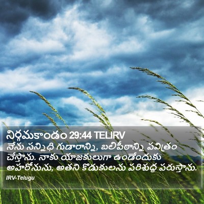నిర్గమకాండం 29:44 TELIRV Bible Verse Image