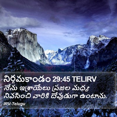 నిర్గమకాండం 29:45 TELIRV Bible Verse Image