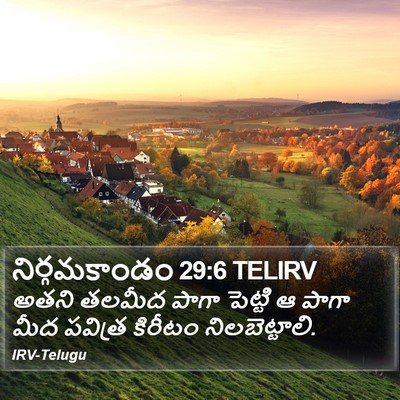 నిర్గమకాండం 29:6 TELIRV Bible Verse Image