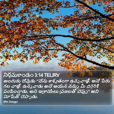 నిర్గమకాండం 3:14 TELIRV Bible Verse Image