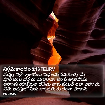 నిర్గమకాండం 3:16 TELIRV Bible Verse Image