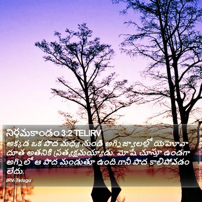 నిర్గమకాండం 3:2 TELIRV Bible Verse Image