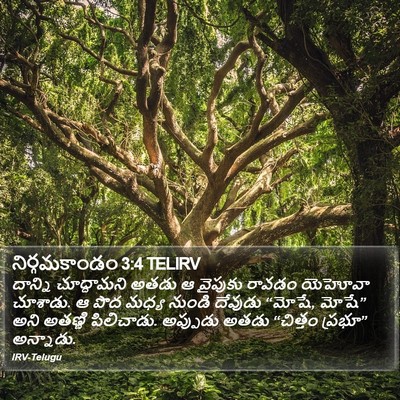 నిర్గమకాండం 3:4 TELIRV Bible Verse Image