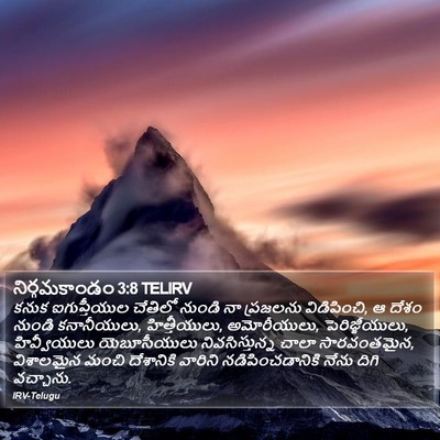 నిర్గమకాండం 3:8 TELIRV Bible Verse Image
