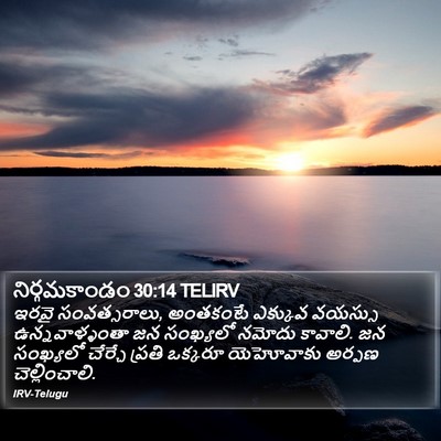 నిర్గమకాండం 30:14 TELIRV Bible Verse Image