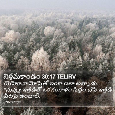నిర్గమకాండం 30:17 TELIRV Bible Verse Image