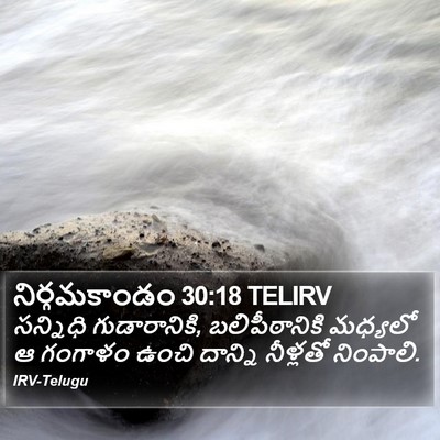 నిర్గమకాండం 30:18 TELIRV Bible Verse Image