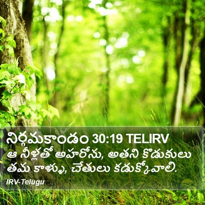 నిర్గమకాండం 30:19 TELIRV Bible Verse Image