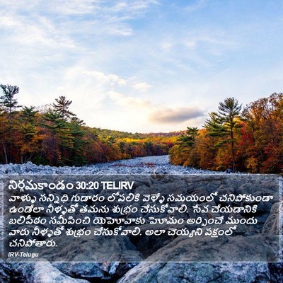 నిర్గమకాండం 30:20 TELIRV Bible Verse Image