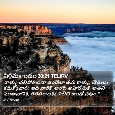 నిర్గమకాండం 30:21 TELIRV Bible Verse Image