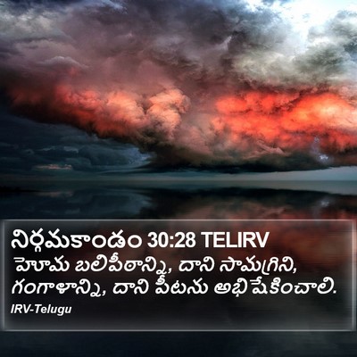 నిర్గమకాండం 30:28 TELIRV Bible Verse Image