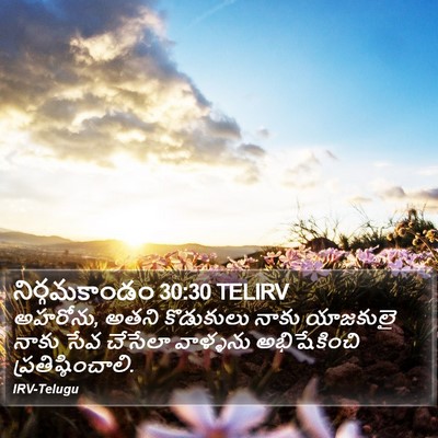 నిర్గమకాండం 30:30 TELIRV Bible Verse Image
