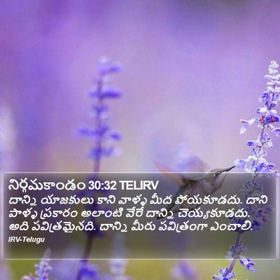 నిర్గమకాండం 30:32 TELIRV Bible Verse Image