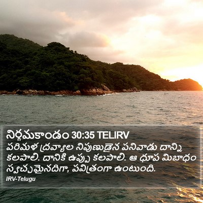 నిర్గమకాండం 30:35 TELIRV Bible Verse Image
