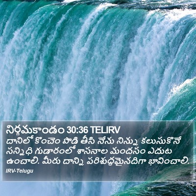 నిర్గమకాండం 30:36 TELIRV Bible Verse Image