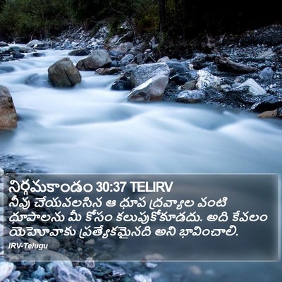 నిర్గమకాండం 30:37 TELIRV Bible Verse Image