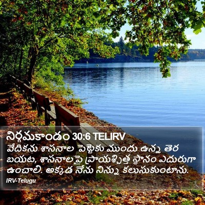 నిర్గమకాండం 30:6 TELIRV Bible Verse Image