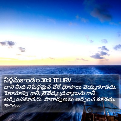 నిర్గమకాండం 30:9 TELIRV Bible Verse Image