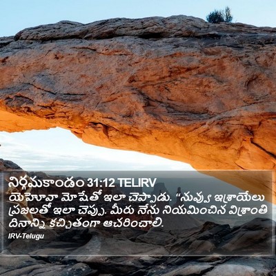 నిర్గమకాండం 31:12 TELIRV Bible Verse Image
