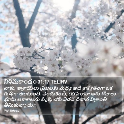 నిర్గమకాండం 31:17 TELIRV Bible Verse Image