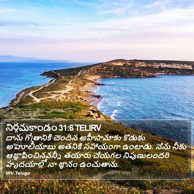నిర్గమకాండం 31:6 TELIRV Bible Verse Image