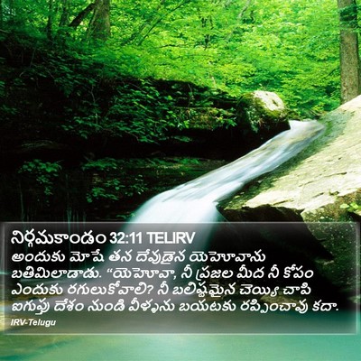 నిర్గమకాండం 32:11 TELIRV Bible Verse Image