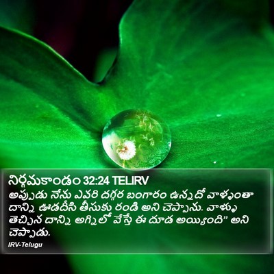 నిర్గమకాండం 32:24 TELIRV Bible Verse Image