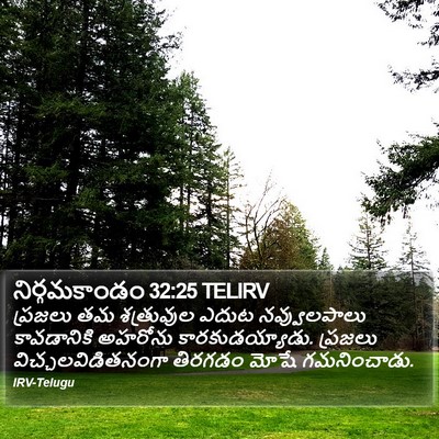 నిర్గమకాండం 32:25 TELIRV Bible Verse Image